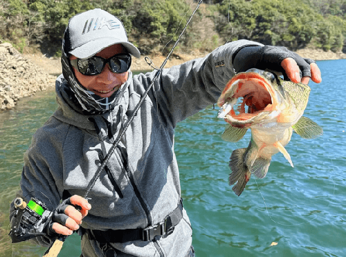 imakatsu 2024新饵（1）_5