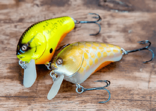 是megabass还是imakatsu？！imakatsu 2024新品介绍2_0