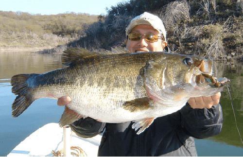 是megabass还是imakatsu？！imakatsu 2024新品介绍2_5