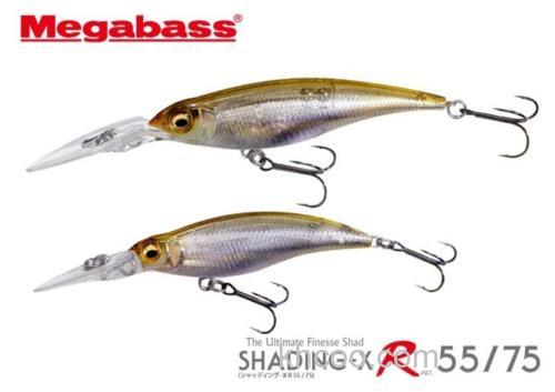 经典饵型更新 2024 MEGABASS SHADING-X R 55/75_0