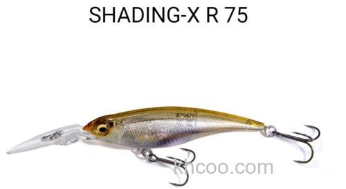 经典饵型更新 2024 MEGABASS SHADING-X R 55/75_2