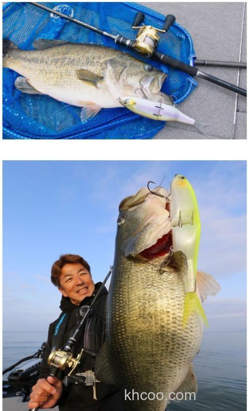 大个头！shimano Arma joit 280_3