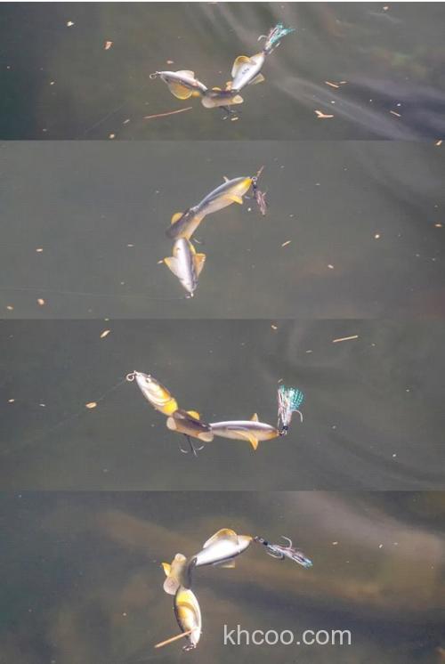 Imakatsu 十年磨一剑！超级抽象水面扰流 UMA死亡之卷_6