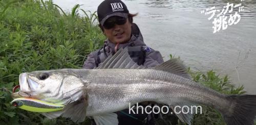 强烈刺激！DUO ROUGH TRAIL MAKIFLAT 155F 海鲈大饵_2