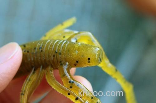 飞距离出色！Gary Yamamoto × 伊豫部健 4.4”HUGGER_1