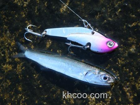 鲈速诱之 COREMAN IP-26 Ironplate_1