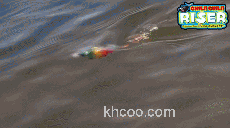 乱窜的老鼠 Jackall CHIRICHIRI RISER_5