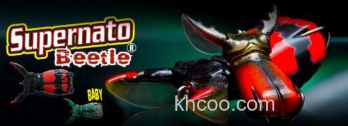 夏季虫诱 Molix Japan SUPERNATO BEETLE BABY_0
