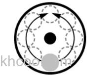 魅惑! Tackle House FEED POPPER_1