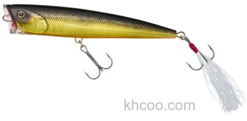 琵琶湖专攻 DAIWA DORADO POPPER BIWAKO SPEC_0