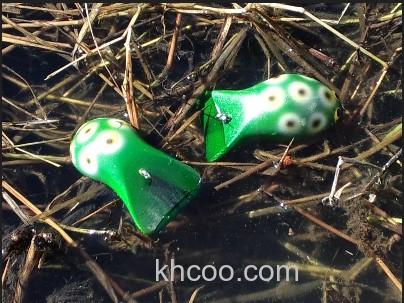 呆萌蛙 Smith Mad Shrink Frog_0