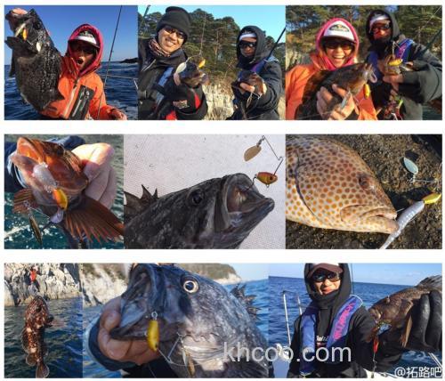 咸水岩鱼应对 Baitbreath CHERRY SPIN_2