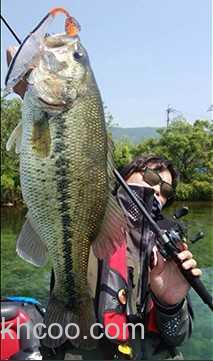 慢慢来 Megabass i-BRAKE SWIMBAIT_3