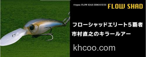 杂区攻略 Jackson FLOW SHAD_0