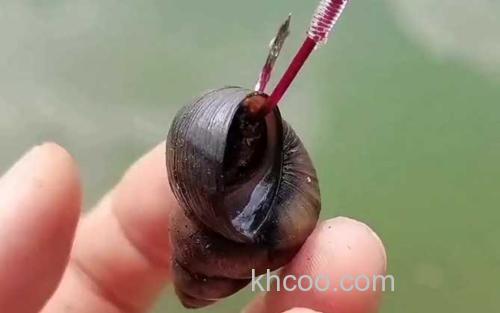 螺蛳钓鱼_0