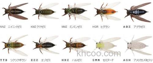 昆虫大餐之诱 Jackson 生蝉NAMAZEMI_1