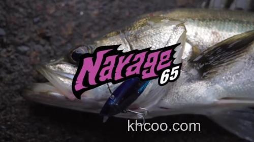 咸水应对 BlueBlue Nareji 65 铁板VIB_0