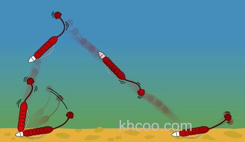 扁尾的诱惑！DEPS LILRABBIT 大嘴鲈鱼专攻_3