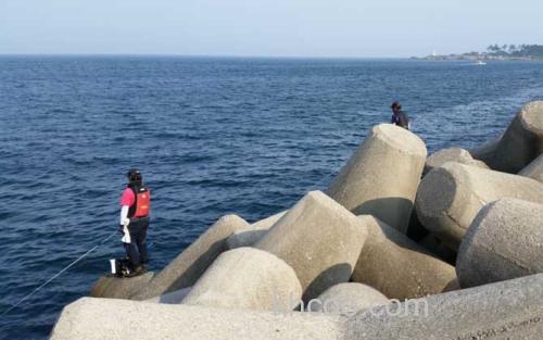 海钓_3
