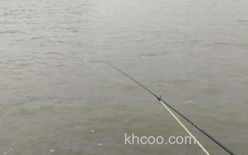 闷竿钓法_0