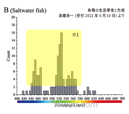 人见鱼不见 DUEL Pink Fluorocarbon FISH CANNOT SEE 氟碳前导线_1