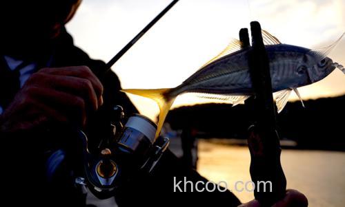 绝对感度！DUEL The ONE 竹荚鱼专用超细PE线_5