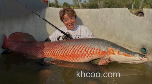 大物强韧 SHIMANO 2025 CAPTURE 强力便携旅行大物竿_6