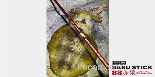 新品追加 HAYASHI SARUSTICK（餌木猿）88赤猿 饵木鱿鱼竿_3