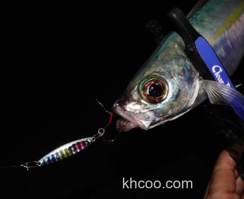 最高1g起抛 Clear Blue Crystar511BF-Finder 竹荚鱼竿_1