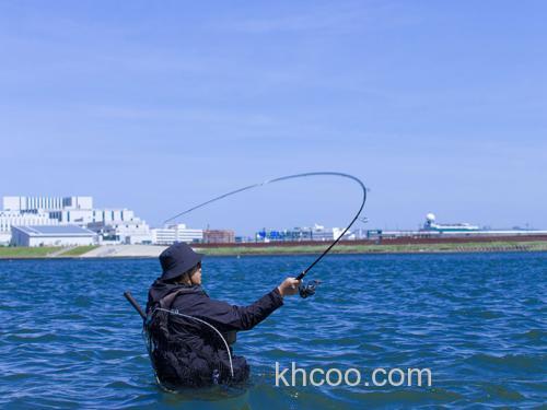 性价海鲈竿今夏登场！DAIWA 2024 LATEO 海鲈竿_7