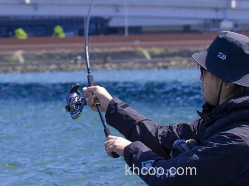 性价海鲈竿今夏登场！DAIWA 2024 LATEO 海鲈竿_8