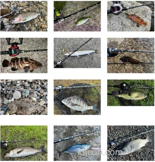 高泛用性价竿型 2024 Abu Garcia XROSS FIELD_1