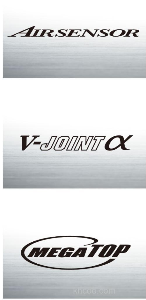 黑鲷旗舰 DAIWA SILVER WOLF EX 黑鲷竿_3