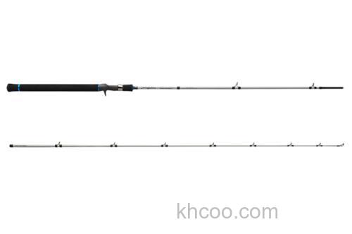 35周年纪念型号 PALMS Surfstar SSAFC-80H BigBait 海鲈竿_1