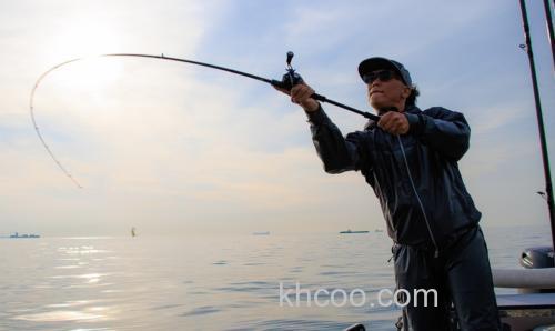 全系列应对海水 DAIWA 2023 SALTIST 海水多用途系列路亚竿_2