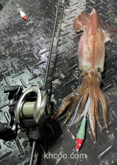 最高性能，进入艺术领域？G-TEC XrosSensitive XSC-59ST-PRO 极限小物竿_5