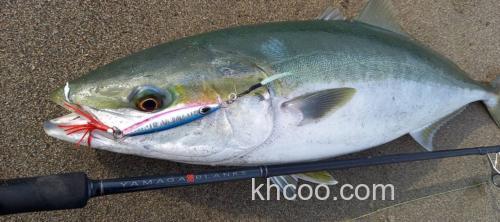 2023夏季上市！YAMAGA Blanks 88 CHAIN 咸水泛用竿_1