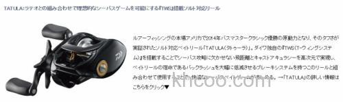 大长枪 DAIWA LATEO 海鲈竿_3