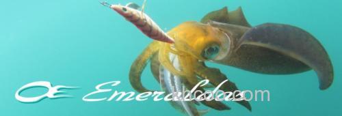 超轻量 DAIWA EMERALDAS AIR AGS 乌鱼竿_0