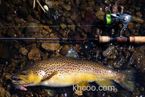 软硬兼施 高便捷性 D-3 2025 Blakiston 鳟鱼竿_2