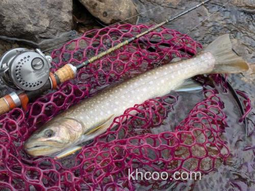 新规！2025 NORIKURA Bourne Treck Dr.BORON 鳟鱼竿_8