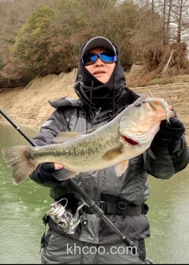 各类用途信手拈来Evergreen 25 KALEIDO TKSS-67XM Incredible Sensor _2