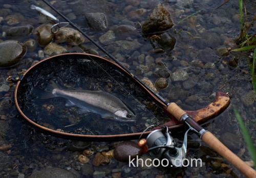 便携加持！SHIMANO 25 CARDIFF STREAM PREMIUM 鳟鱼竿_3