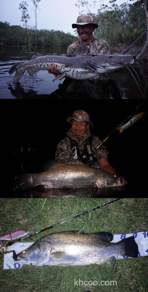 刚韧有力的大炮架2024 TULALA Masso 77xh 旅行大物竿_5