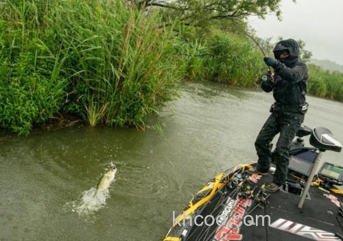 Bait finesse 再见 Evergreen SPIDER SPINTKSS-611MH-TG40X 直柄BASS竿_1