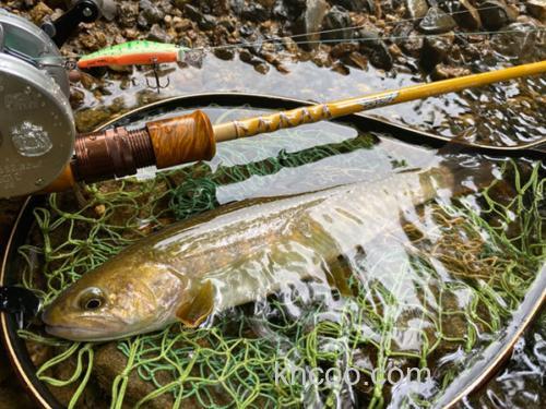 Bait Finesse玩味！Tiemco FS53CL-3J _0