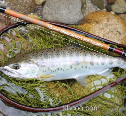 联名纪念款式！Jointer×Fishman Beams blancsierra Equality鳟鱼竿_0