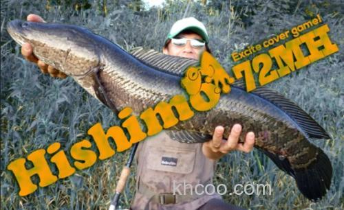 2016全新更新! Zenith HISHIMO 雷强竿_0