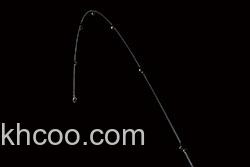 Nories ROAD RUNNER STRUCTURE 15新规格追加_2