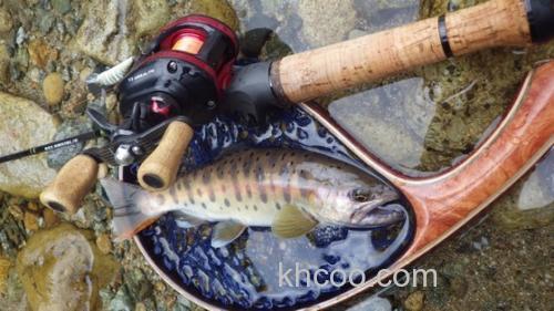 本山博之精细理念 SMITH Be Sticky Trout 枪柄鳟鱼竿_2